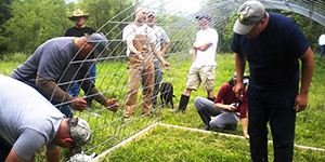 People building a garden