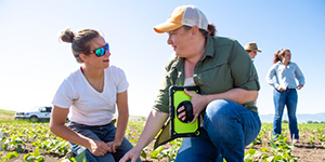 Scientists working in the field.