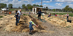 People working in a garden