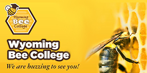 Wyoming Bee College poster