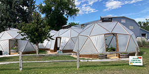 Geodome greenhouses