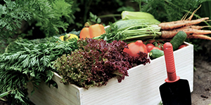 Fresh produce in a box