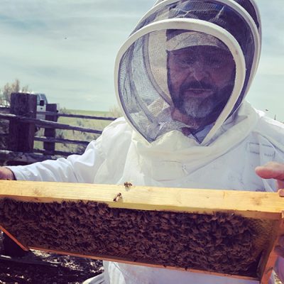 Man working with bees