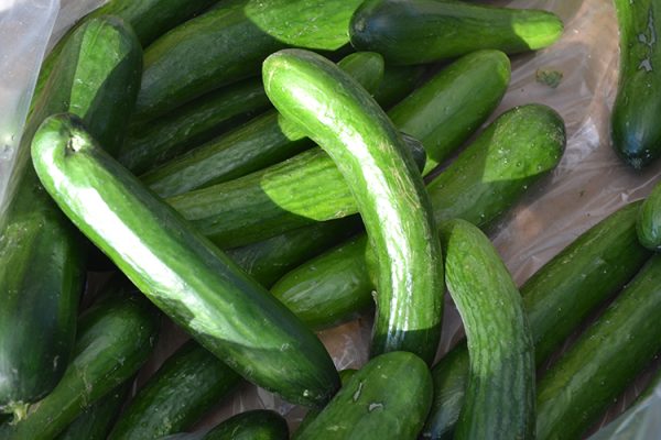 Cucumbers