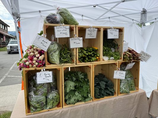 Vegetables in cubbies