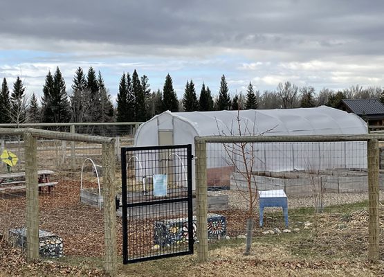 Gardens and a greenhouse