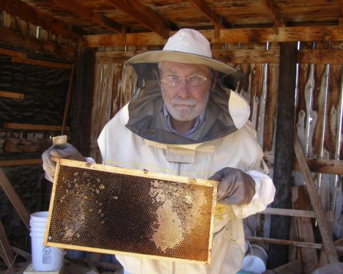 Bruce Embury with his bee hives.