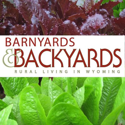 Cover of Barnyards & Backyards: Rural Living in Wyoming