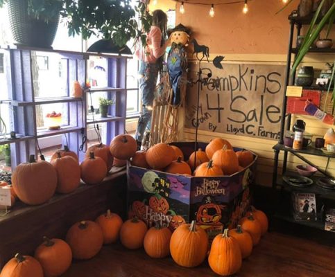 Fall display with scarecrow and pumpkins