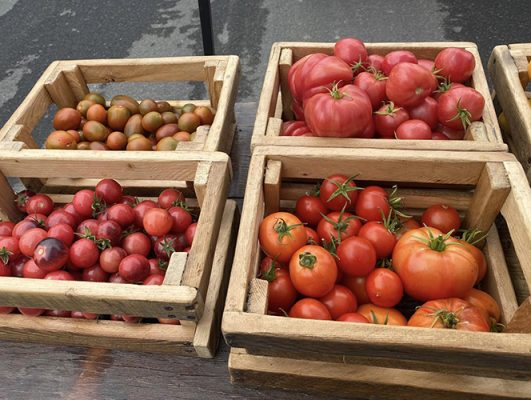Boxes of tomatoes