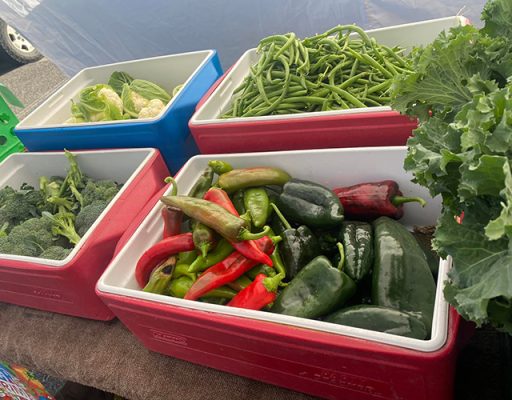 Coolers filled with fresh produce