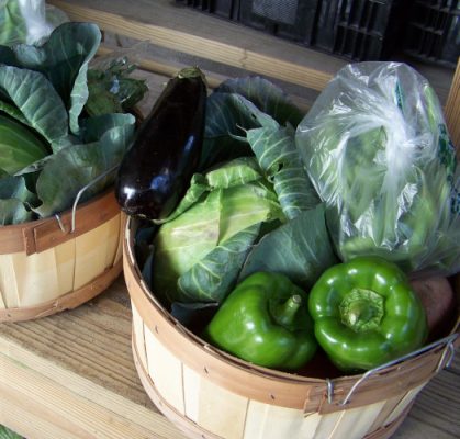Big Horn County Fair-500h Green produce in baskets
