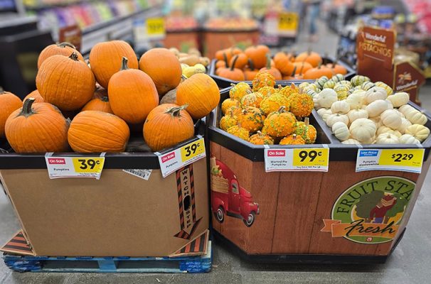 produce bins in a grocery store