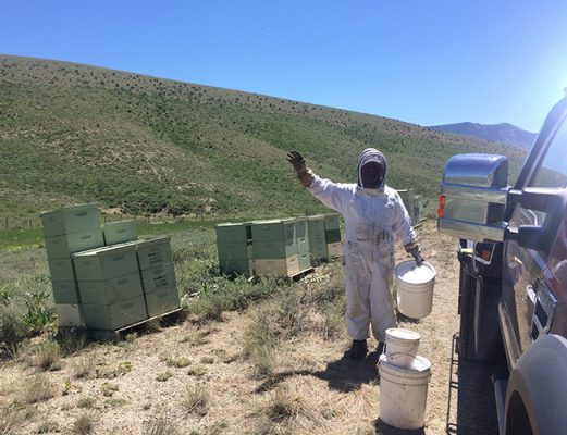 Man with honey boxes