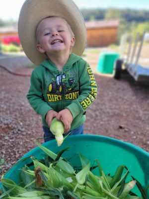 Little boy with ears of corn.