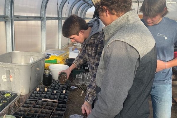 High school students working in a greenhouse
