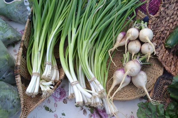 Burns-Star-Market-500h Bunches of green onions