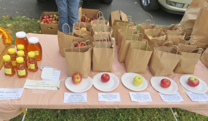 Apples on paper plates with brown bags