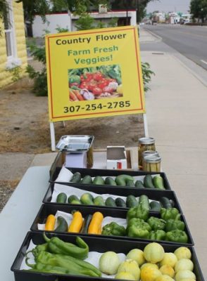 Country Flower sign and vegetables