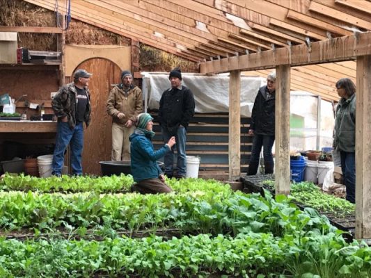 People working with raised beds
