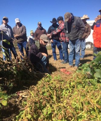 Tour group looking at soil