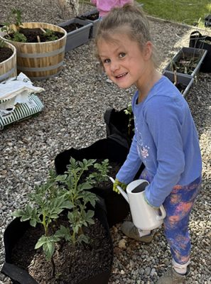 Child watering plants in a garden.