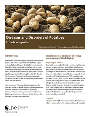 Cover of Diseases and Disorders of Potatoes in the Home Garden