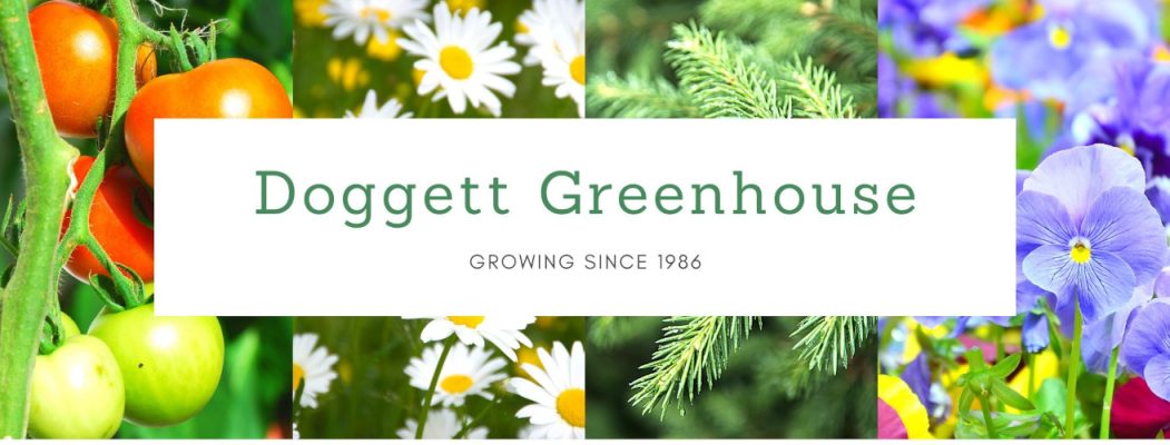 Doggett Greenhouse logo