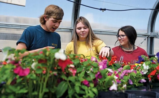Students working in a greenhouse