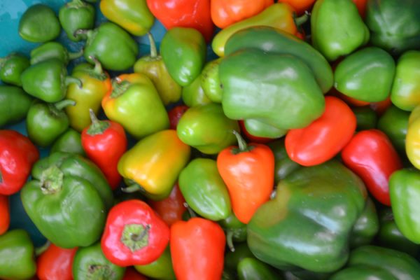 Douglas Markets 2-500h Red and green peppers