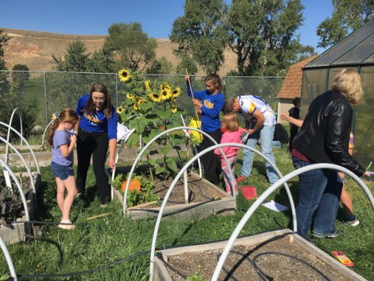People working in a garden with raised beds