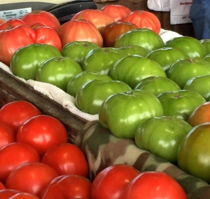 Red and green tomatoes