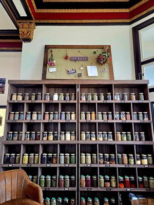 Jars of herbs in a display