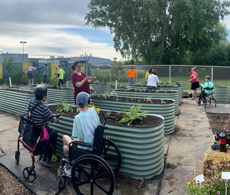 People in wheelchairs working in raised garden beds