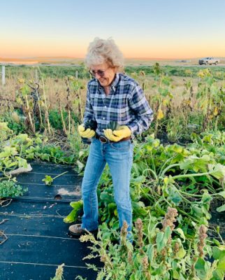 Woman working in garden