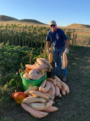 Man working in garden