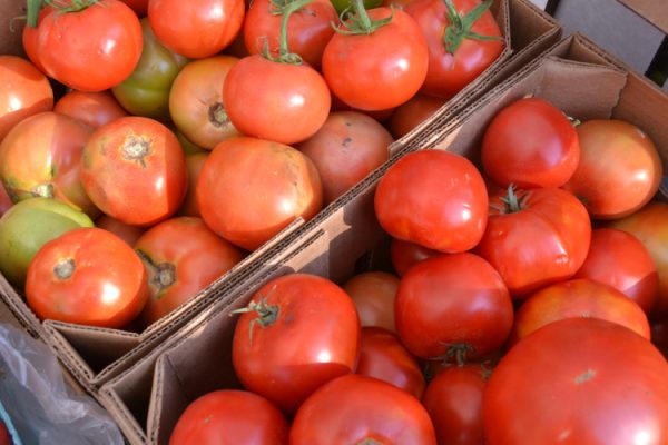 Tomatoes in a cardboard box