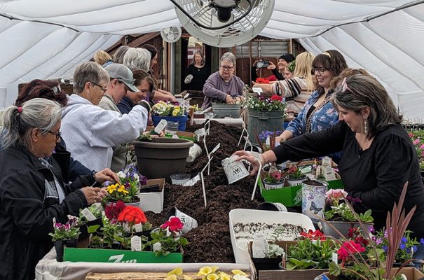 People potting plant pots