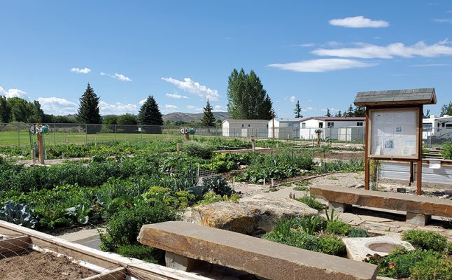 Community gardens