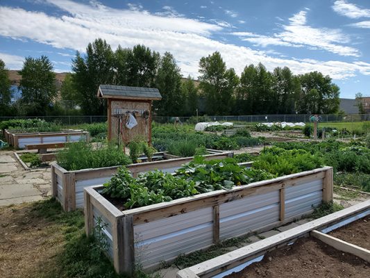 Raised garden beds