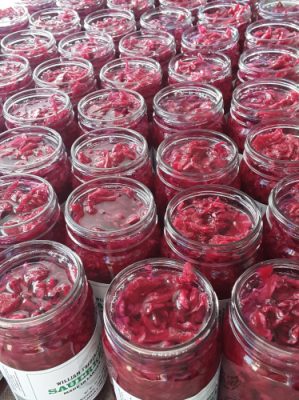 Jars of red sauerkraut