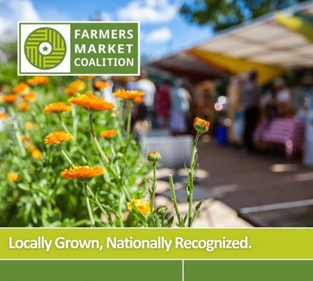 Farmers-Market-Coalition-1-500h Farmers Market flyer with logo