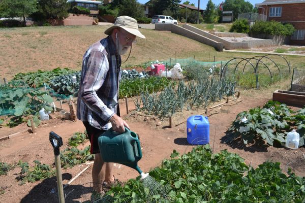 Man working in garden.