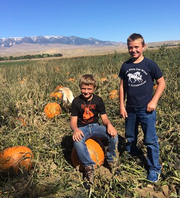 People in a pumpkin patch