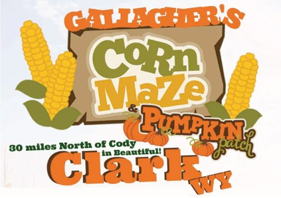 Gallagher-Corn-Maze-3-500h