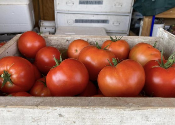 Tomatoes in a box