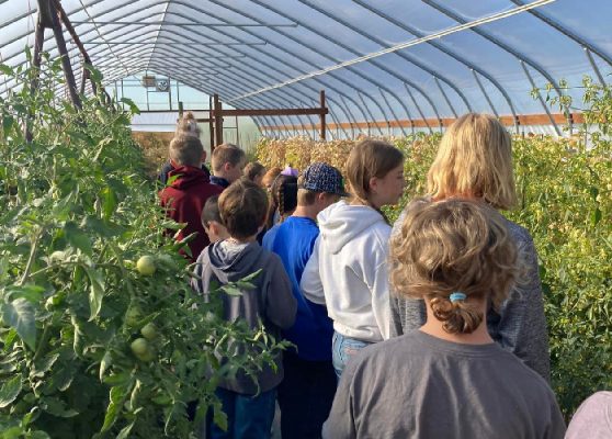 People in a greenhouse