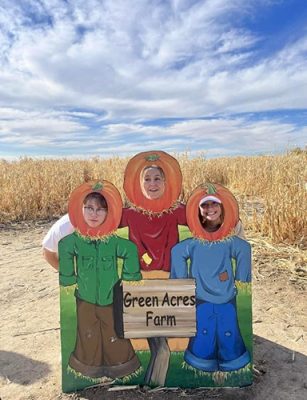Corn maze cutout
