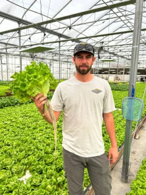 Man holding lettuce in a greenhouse.