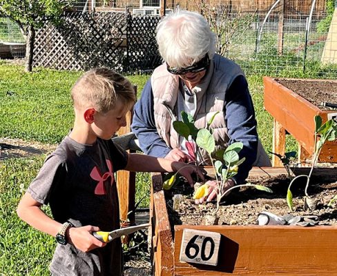 Grow-A-Little-Extra-1-500h Woman and boy planting a garden.